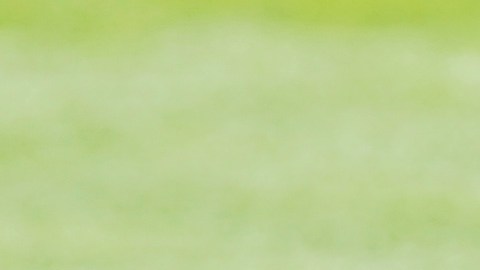 Víctor Velázquez afirmó que Cruz Azul hará todo lo posible para ganar la Liga MX.
