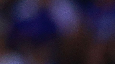 El jugador felino se mostró enfocado en poder conseguir el título de campeón para este torneo.