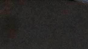 Alexis Vega apuesta por una victoria ante Honduras en la Concacaf Nations League.