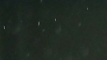 La Concacaf investigará la agresión contra Javier Aguirre tras el juego contra Honduras.