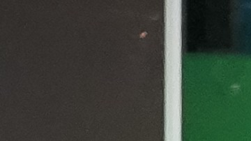 Fernando Ortiz fue presentado como nuevo técnico de Santos Laguna para el Clausura 2025.