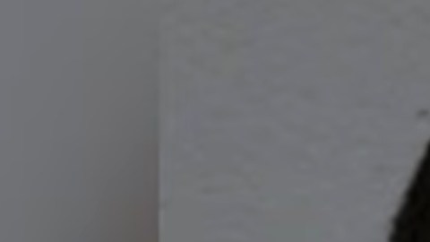 La policía compartió la foto de Lance "Macho" Morales, quien está acusado de múltiples cargos.