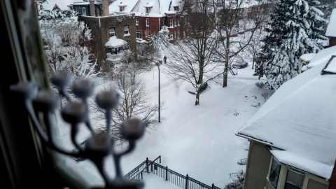 Nieve