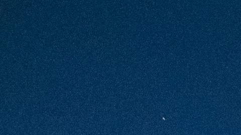 Ahora en su cuarto año, se ha convertido en un clásico para la temporada navideña de la ciudad de Nueva York.