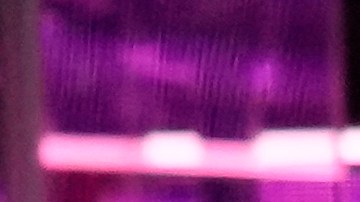 Luis Miguel se enojó en pleno concierto.