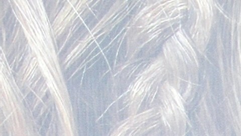 Marcus Ornellas.