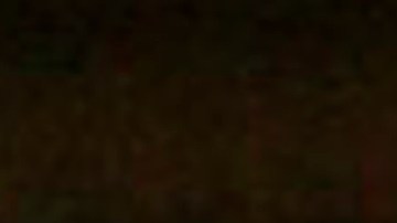 Martha Stewart se divorció en 1990.