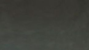 McDonald's por primera vez pone a la venta la salsa " A Whole Lotta McRib", para que los fanáticos puedan darle más sabor a las preparaciones navideñas.