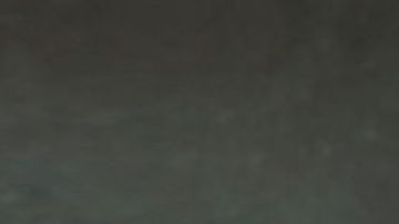 McDonald's por primera vez pone a la venta la salsa " A Whole Lotta McRib", para que los fanáticos puedan darle más sabor a las preparaciones navideñas.