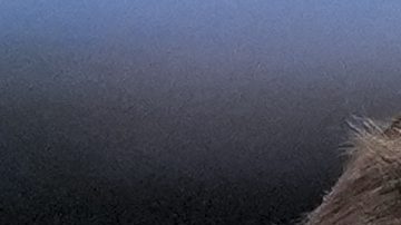 Lionel Messi ante Perú.