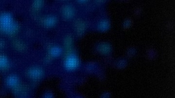 Miss República Dominicana llegó hasta el top 30 del Miss Universo.