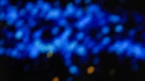 Miss Universo 2024. Las favoritas de La Divaza.