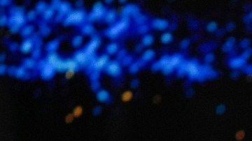 Miss Universo 2024. Las favoritas de La Divaza.