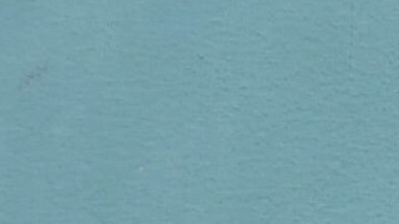 Alexandra Szustakiewicz fue puesta bajo custodia y acusada de dos crímenes de odio.