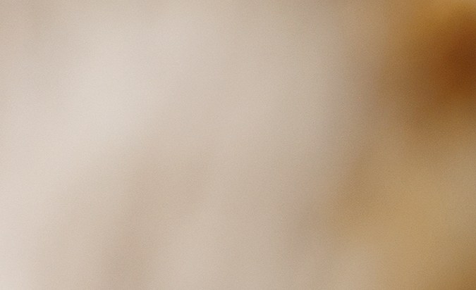 Los muslos de pollo al romero son una opción deliciosa para incluir en la dieta diaria.