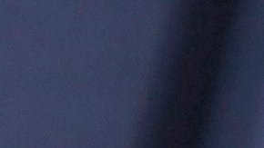 Nadia Ferreira y Marc Anthony quisieron poner un árbol especial para su hijo.