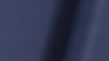 Nadia Ferreira y Marc Anthony quisieron poner un árbol especial para su hijo.