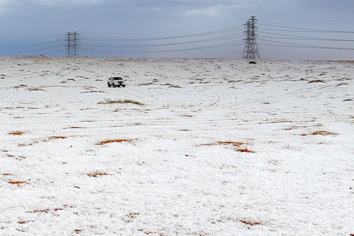 Nevó en el desierto de Arabia Saudita por primera vez en su historia