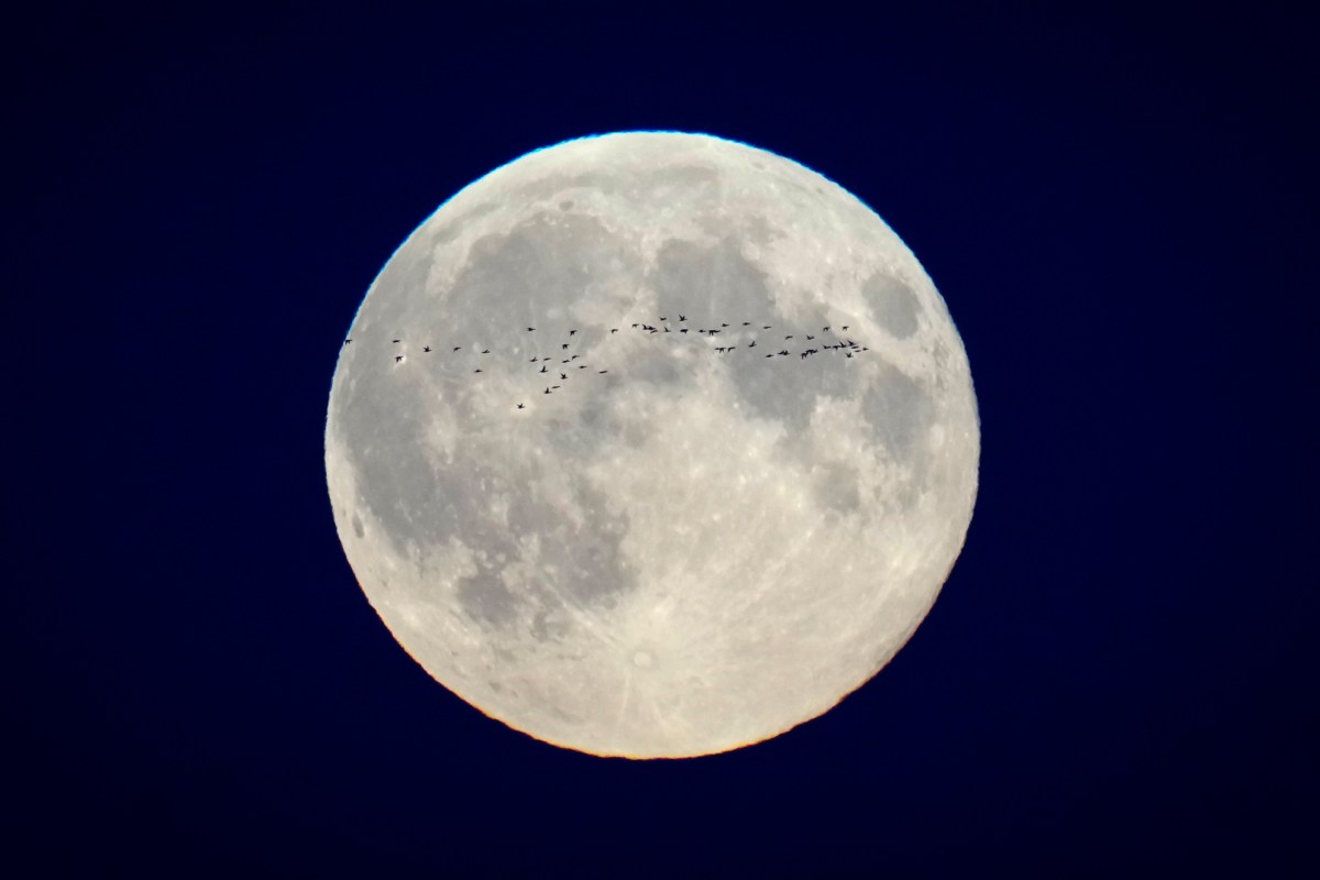 No te pierdas la última Superluna de 2024: ¿Cuándo ocurrirá?