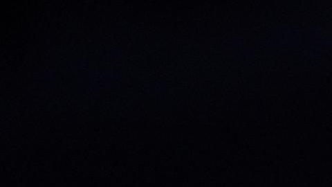 El expresidente Barack Obama había participado activamente en la campaña presidencial de Kamala Harris.