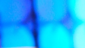 Osmel Sousa, experto en misses.