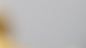 El producto fue distribuido en 15 estados del país.