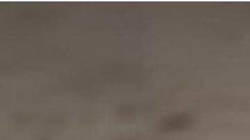 No espere a último momento para comprar el pavo, para que tenga suficiente tiempo para prepararlo de forma segura.