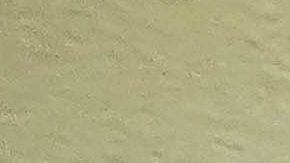 Piero Quispe con Pumas de la UNAM.