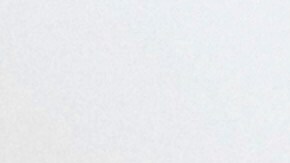 Algunas plantas podrían mejorar tu humor.