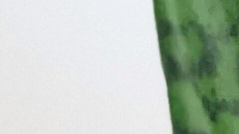 Algunas plantas podrían mejorar tu humor.