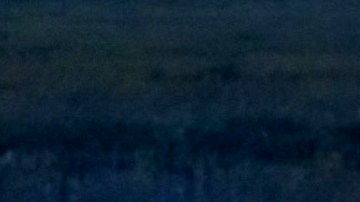 Los equipos de rescate localizaron a tiempo a los dos hermanos.