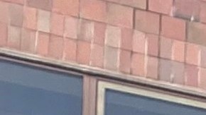 Estudiante en un campus de la ciudad de Nueva York.