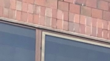 Estudiante en un campus de la ciudad de Nueva York.