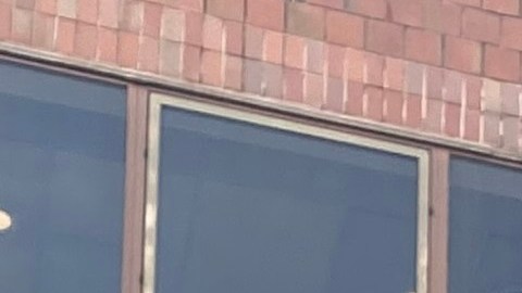 Estudiante en un campus de la ciudad de Nueva York.