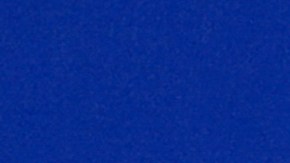 El presidente ruso, Vladimir Putin, felicitó a Donald Trump este miércoles durante una reunión con expertos en política exterior en el Club de Discusión Valdai en el balneario de Sochi, en el Mar Negro, Rusia.