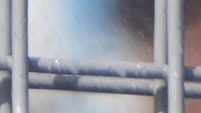 Fans de Racing Club de Argentina.