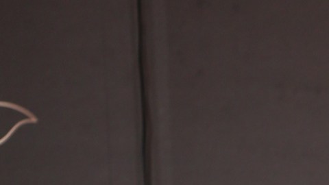 Raúl de Molina, presentador de televisión.