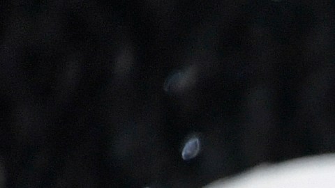 La propiedad de Rauw Alejandro y Rosalía aún no se ha puesto en venta.