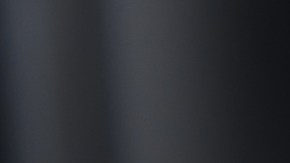 Las bacterias del arroz proliferan en temperaturas medias.