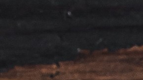 El romero aporta un sabor delicioso a las comidas.