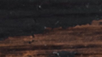 El romero aporta un sabor delicioso a las comidas.