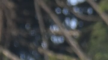 Fans Rosario Central.