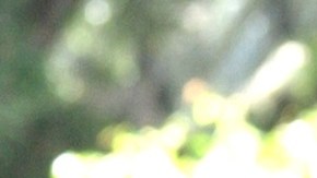 Salvador Zerboni, actor mexicano.