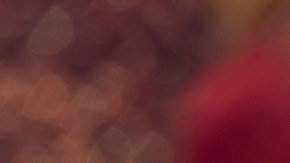 Conoce la nueva colección de vasos de Navidad