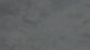 La estevia, el anís estrellado y el regaliz puede ser alternativas para sustituir el azúcar en la dieta diaria.