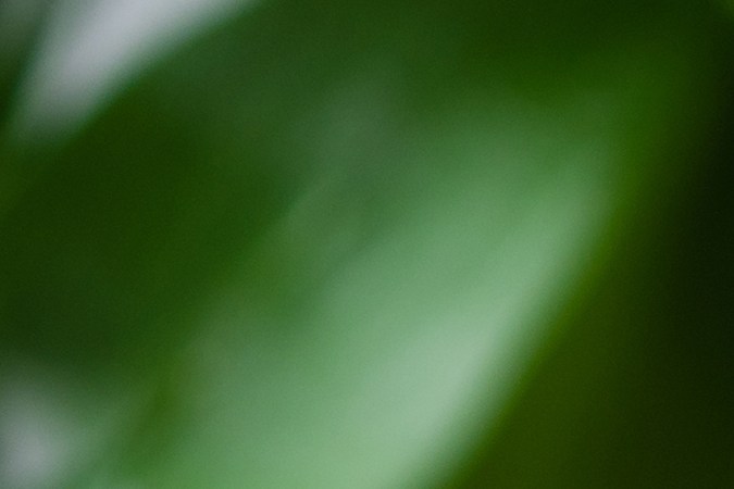 El té matcha concentra un gran poder antioxidante