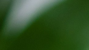 El té matcha concentra un gran poder antioxidante