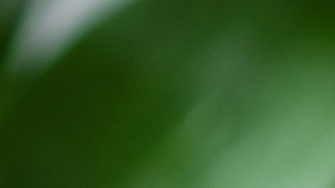 El té matcha concentra un gran poder antioxidante