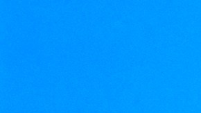 Kennedy Jr. y Donald Trump durante un evento de campaña.