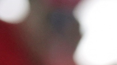El senador Marco Rubio participó activamente en la campaña presidencial de Donald Trump.